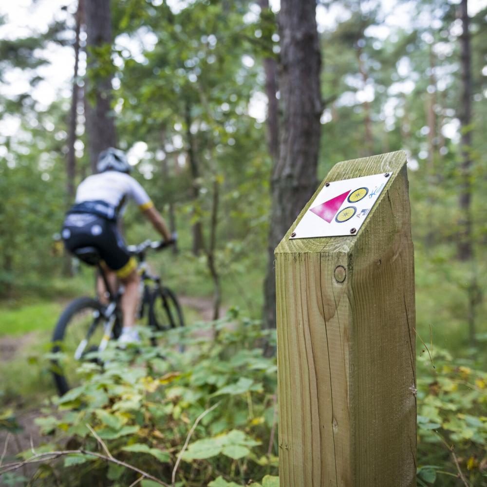 Mountainbikenetwerk