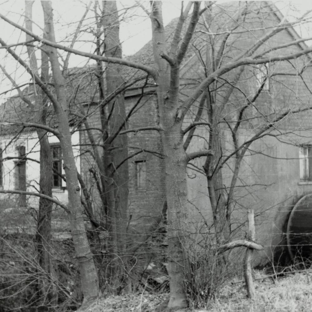 Topmolen