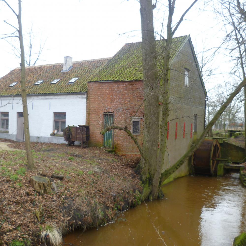 Topmolen